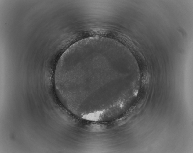 X0000111440464200908241148