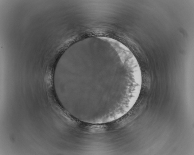 X0000111440465200908241148