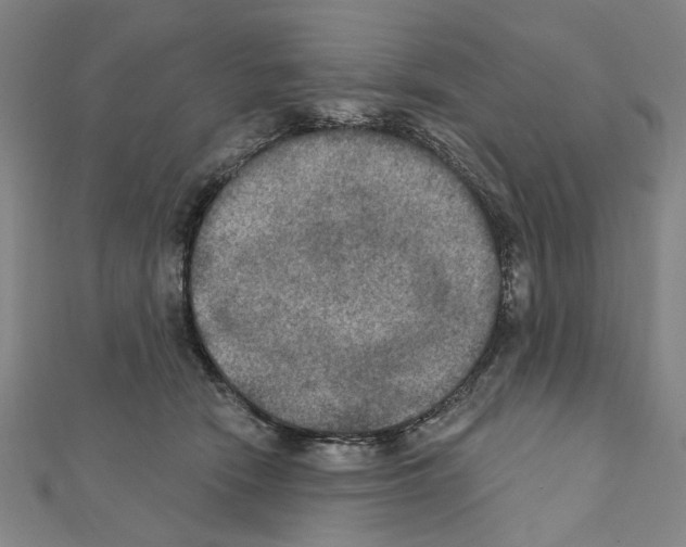 X0000111440466200908241148