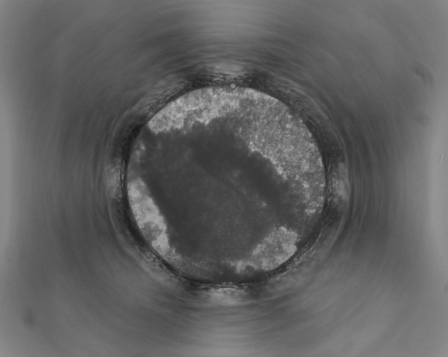 X0000111440468200908241148