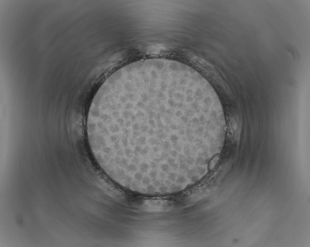 X0000111440470200908241148