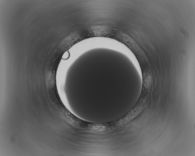 X0000111440471200908241148