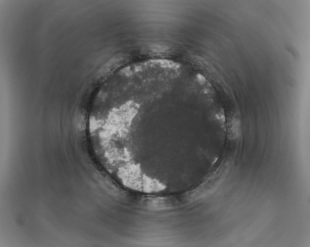 X0000111440472200908241148