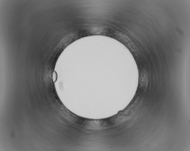 X0000111440473200908241148