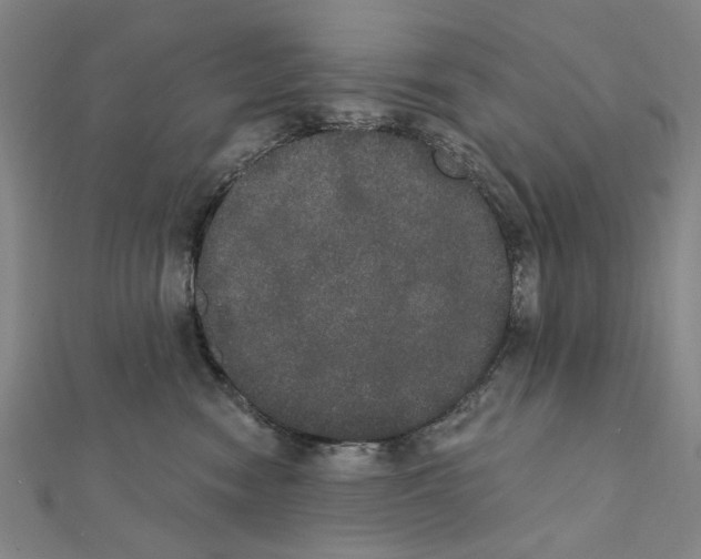 X0000111440474200908241148