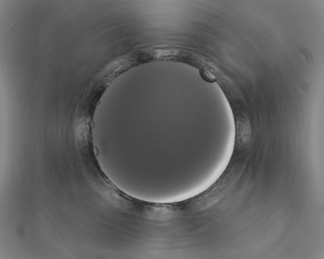 X0000111440475200908241148