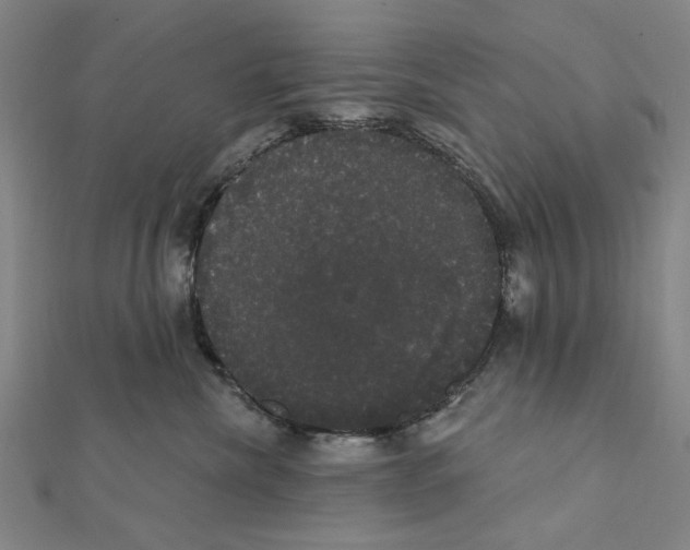 X0000111440476200908241148