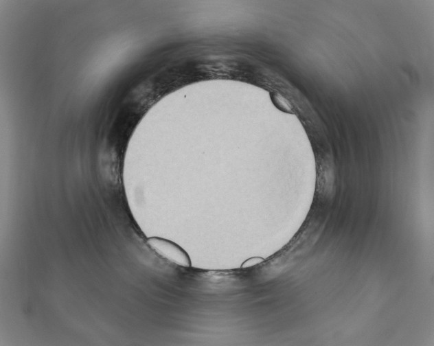 X0000111440477200908241148