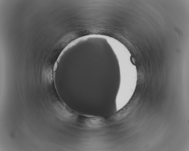 X0000111440479200908241148