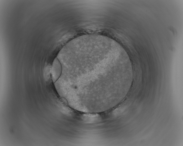 X0000111440480200908241148