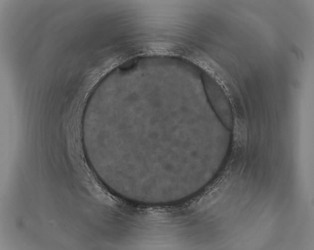 X0000111440481200908241147