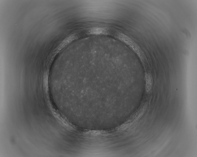 X0000111440482200908241147