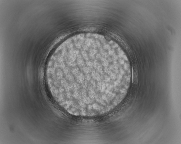 X0000111440483200908241147