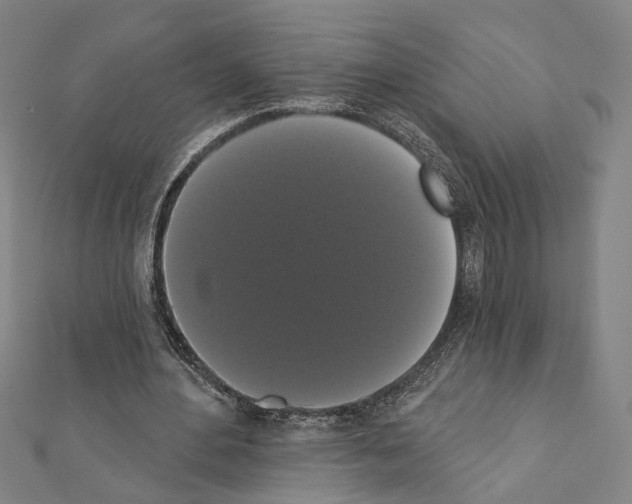 X0000111440484200908241147