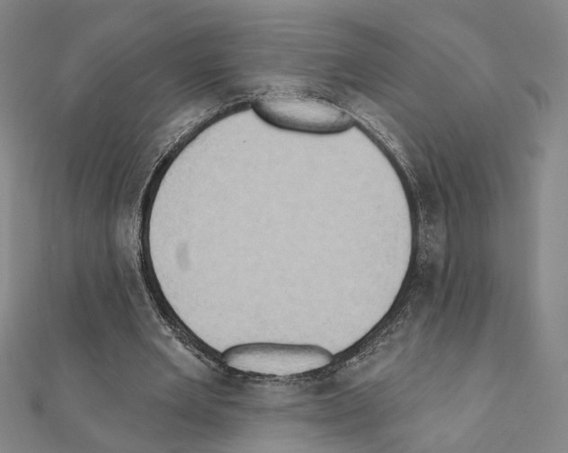 X0000111440485200908241147