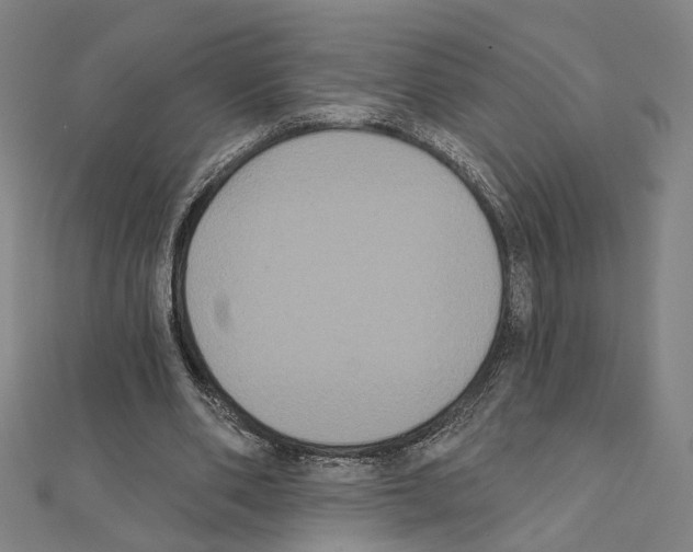 X0000111440486200908241147