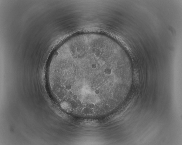 X0000111440487200908241147
