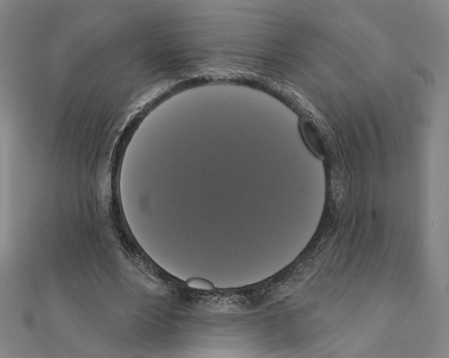 X0000111440488200908241147