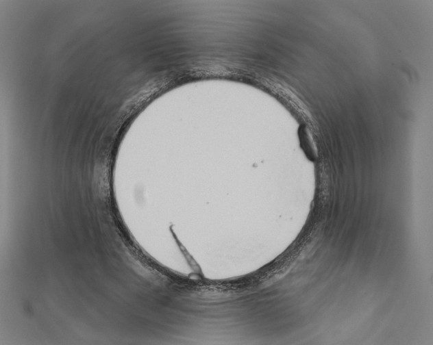 X0000111440489200908241147