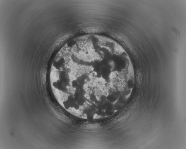 X0000111440491200908241147