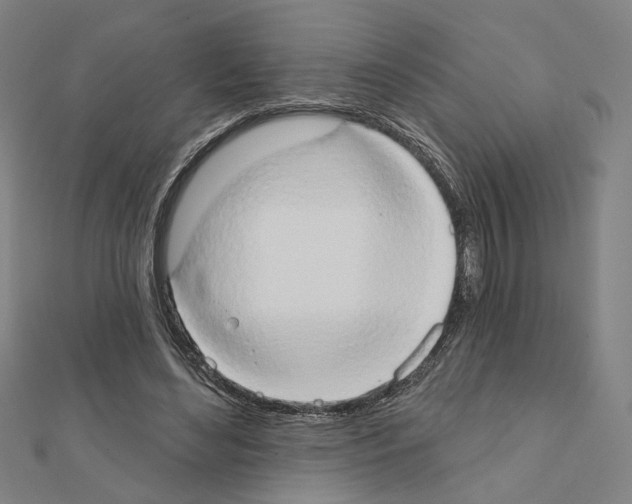 X0000111440492200908241147