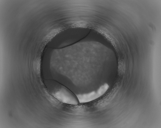 X0000111440493200908241147