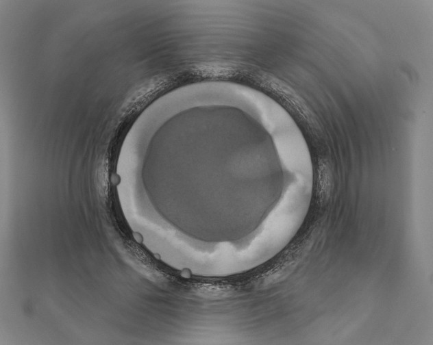 X0000111440494200908241147