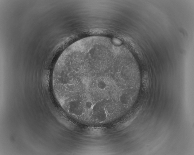 X0000111440495200908241147