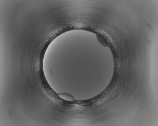 X0000111440496200908241147