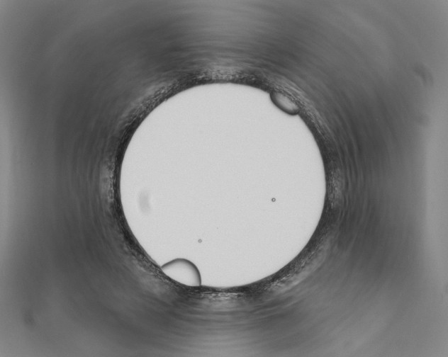 X0000111440497200908241147