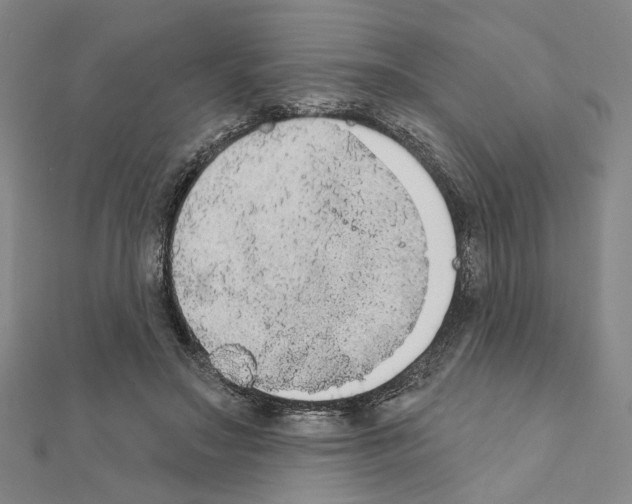 X0000111440499200908241147