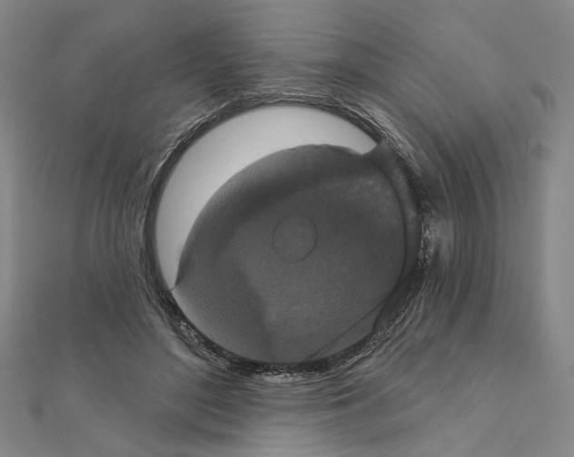 X0000111440500200908241147