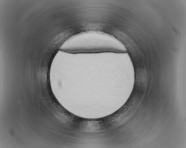 X0000111440501200908241147