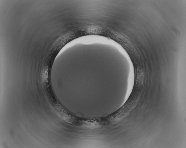 X0000111440502200908241147