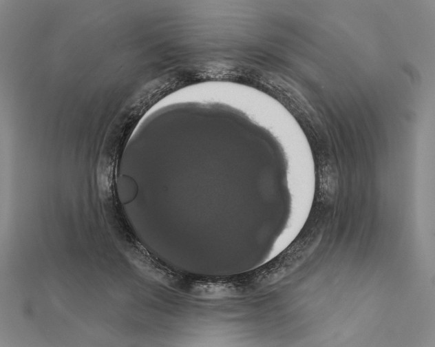 X0000111440503200908241147