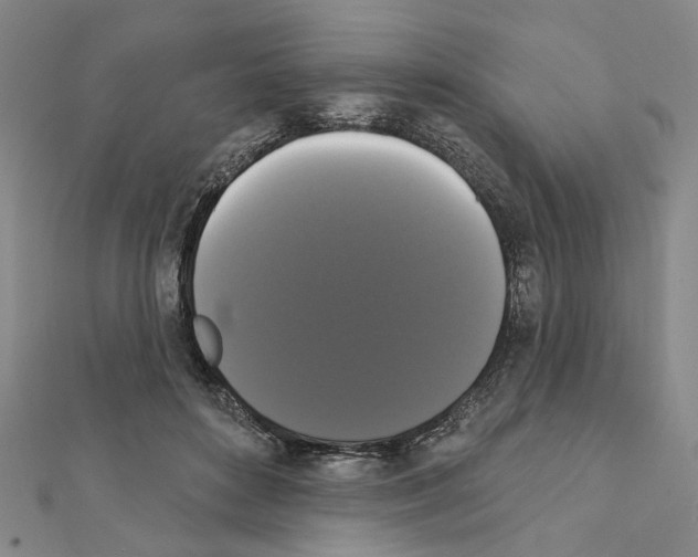 X0000111440504200908241147