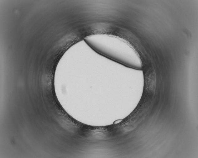 X0000111440505200908241147
