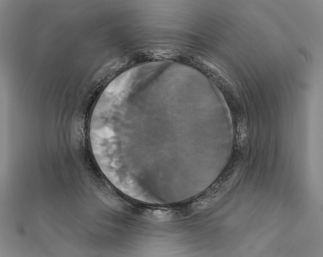 X0000111440506200908241147