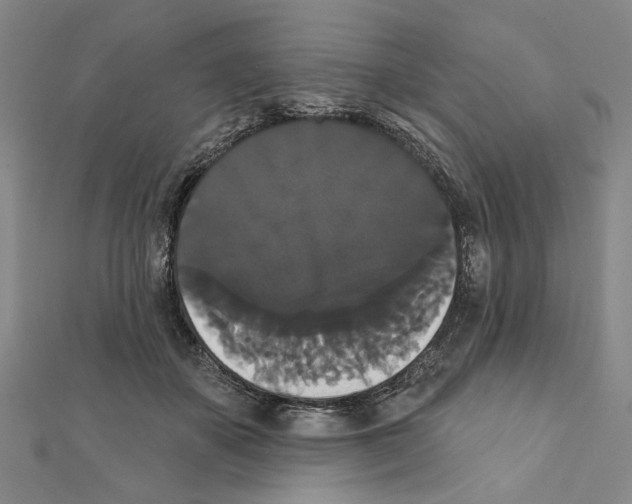 X0000111440507200908241147