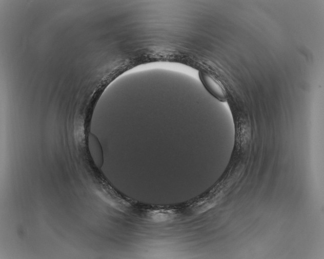 X0000111440508200908241147