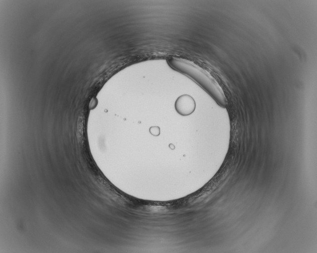 X0000111440509200908241147