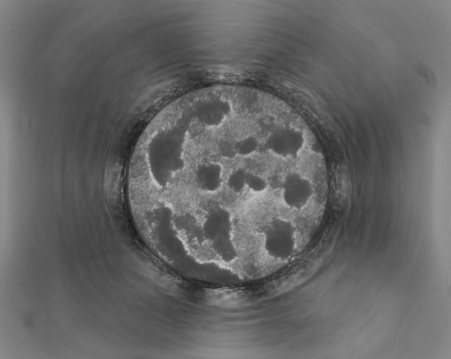 X0000111440511200908241147