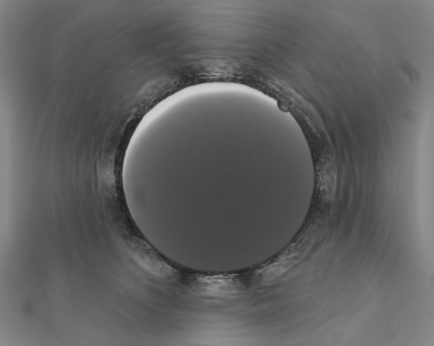 X0000111440516200908241147