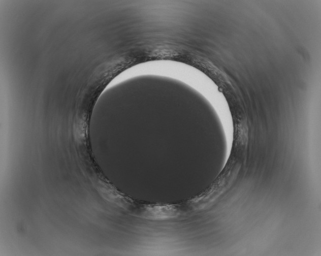 X0000111440517200908241147