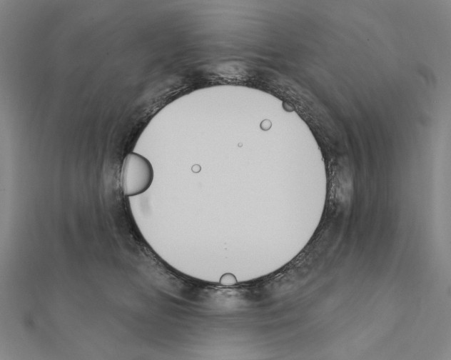 X0000111440518200908241147