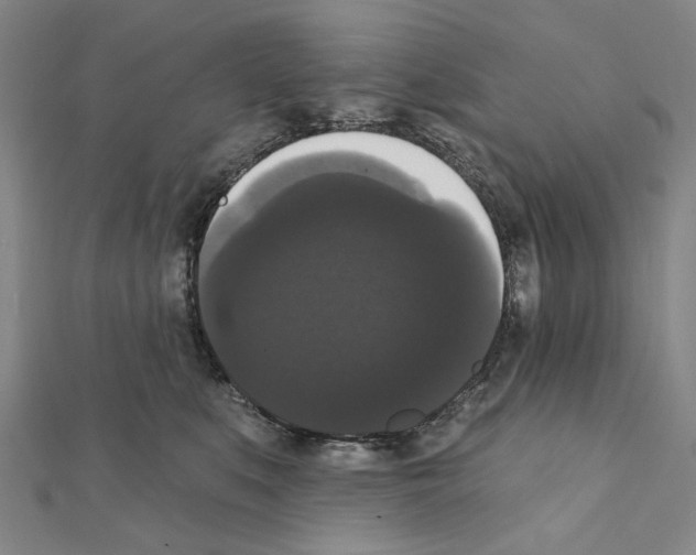 X0000111440519200908241147