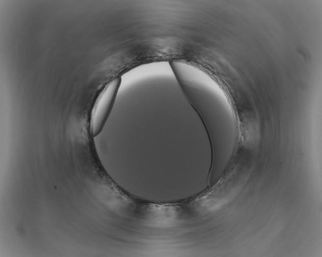 X0000111440520200908241147
