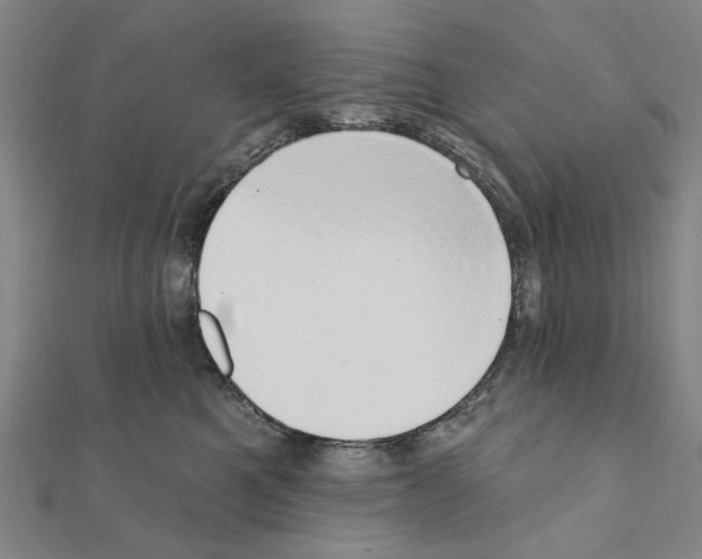 X0000111440521200908241147
