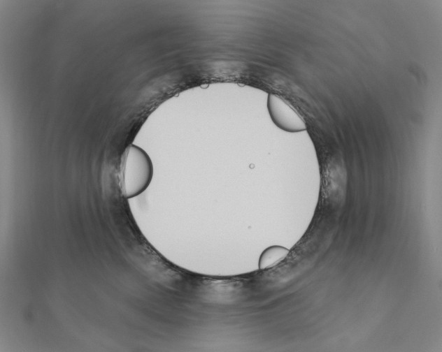 X0000111440522200908241147