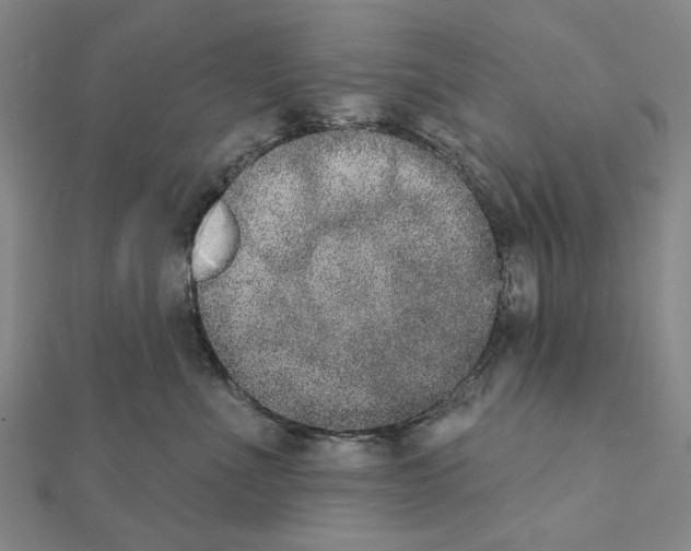 X0000111440523200908241147